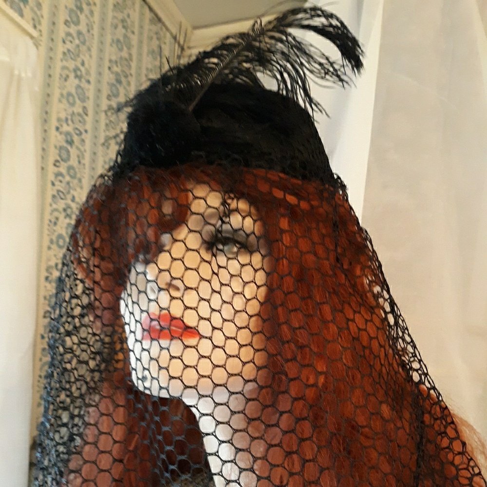Hat with veil & feather decoration